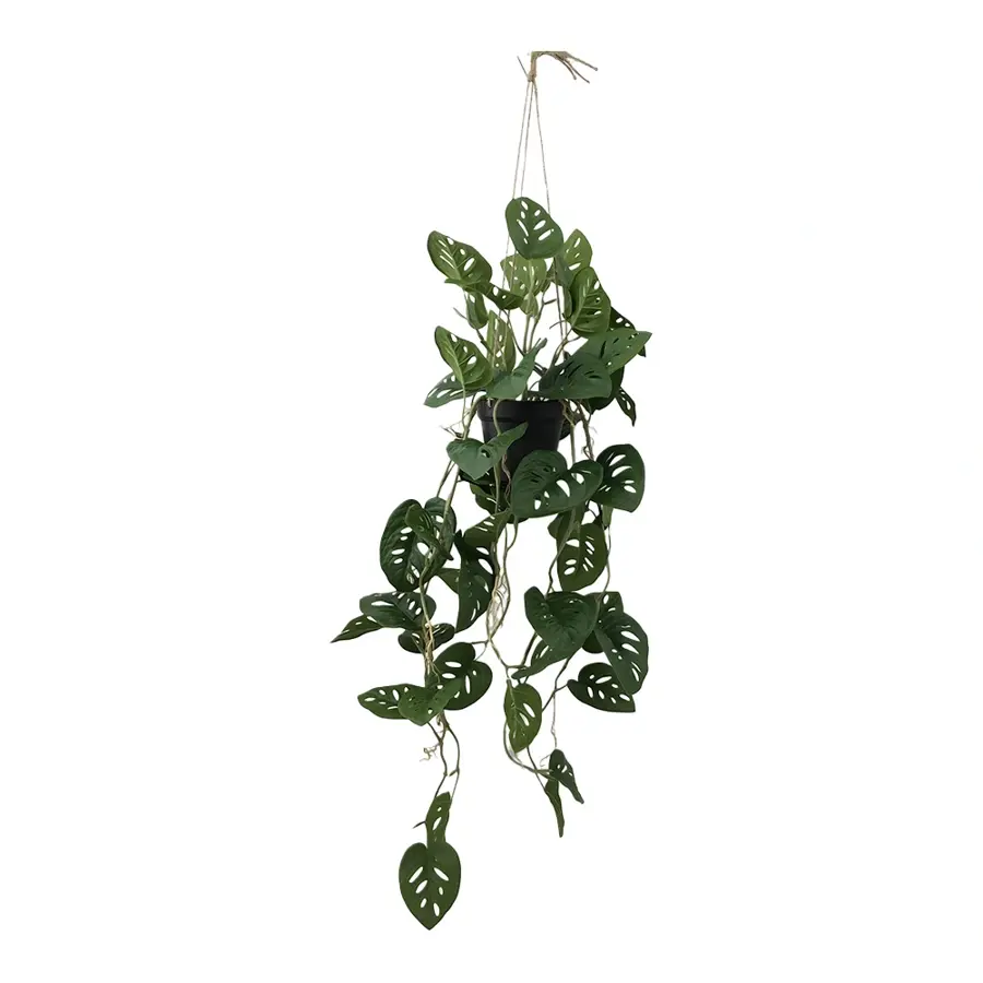 Kunstplant Monstera Mask Hang - 105 cm