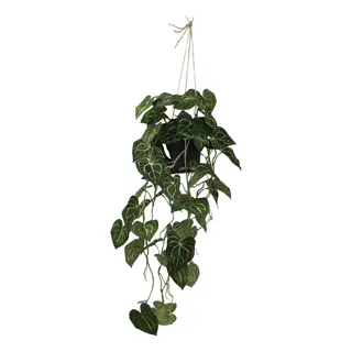 Kunstplant Philodendron Hang - 105 cm