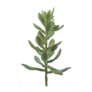 Kunstplant Sinocrassula Pick Guanita Groen - 20 cm