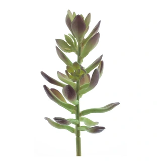 Kunstplant Sinocrassula Pick Guanita Rood/Groen - 20 cm