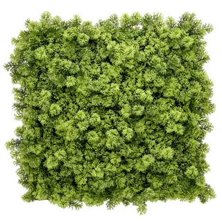 Kunstplanten Mat 50x50 cm - Houttuynia Cordata