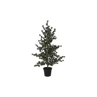 Countryfield Kunstkerstboom Abies Concolor - L
