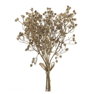 Kunsttak Gypso Bundle Goud - 34 cm
