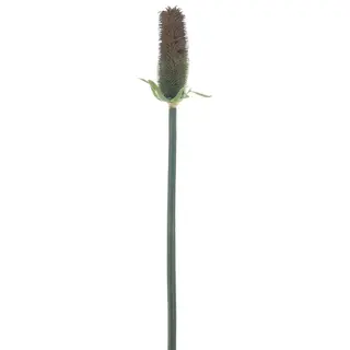 Kunsttak Single Eryngium Spray Bruin - 67 cm