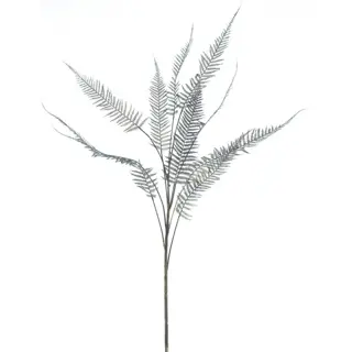 Kunsttak Sword Fern Branch Kula Zwart - 149 cm