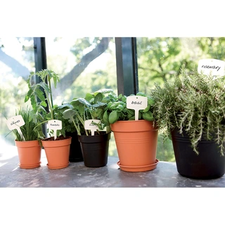 Elho Green Basics Kweekpot Ø21 - Mild Terra - afbeelding 3