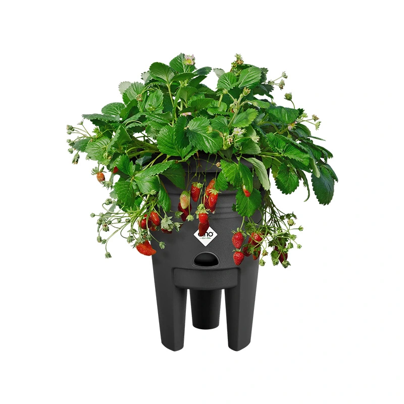 Elho Green Basics Kweekpot Aardbeien Ø33 cm - Living Black - afbeelding 2