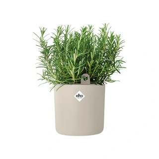 Elho Happy Herbs Kweekpot Ø15 cm - Linen White - afbeelding 4