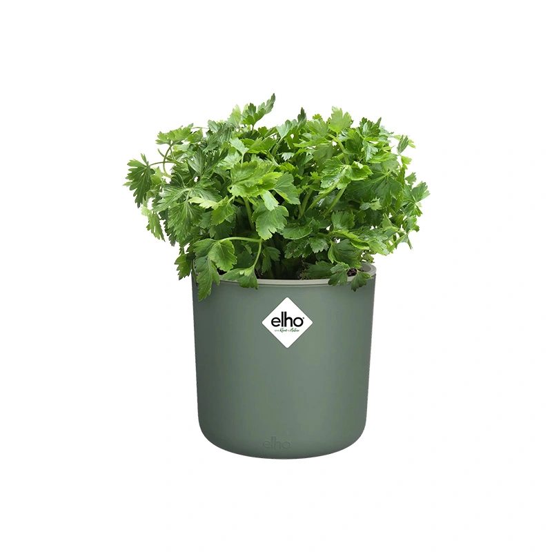 Elho Happy Herbs Kweekpot Ø15 cm - Blad Groen - afbeelding 4