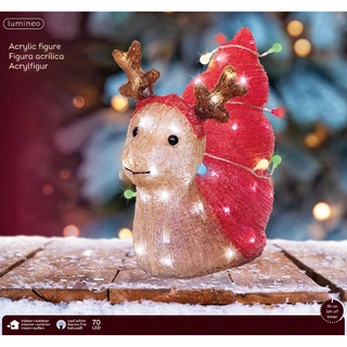 LED Slak Rood Acryl - afbeelding 3
