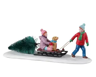 Lemax Bringing Home Our Tree
