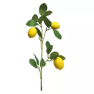 Lemon sinensis spray x3 yellow 74 cm