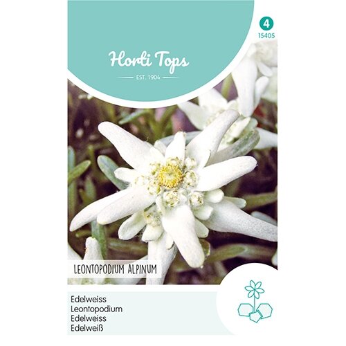 Horti Tops Leontopodium alpinum, Edelweiss - afbeelding 1