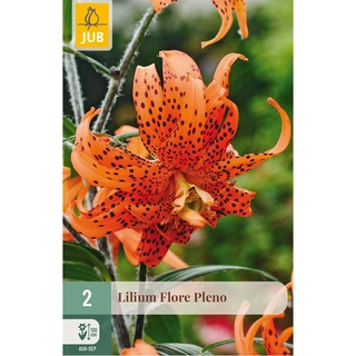 Lilium Flore Pleno 2 st.
