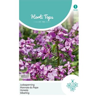 Horti Tops Lunaria, Judaspenning Violet - afbeelding 1