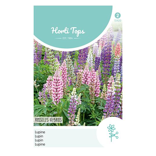 Horti Tops Lupinus, Lupine Russell's Hybrids gemengd - afbeelding 1