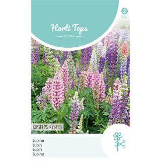 Horti Tops Lupinus, Lupine Russell's Hybrids gemengd - afbeelding 1