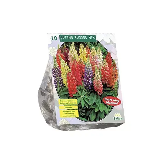 Baltus Lupinus Russel Mix - 10 st.