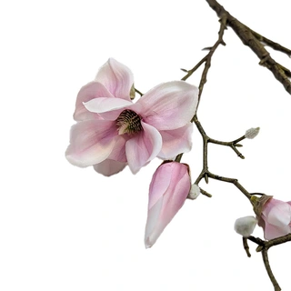 Kunsttak Magnolia Spray Beauty - 155 cm - afbeelding 2