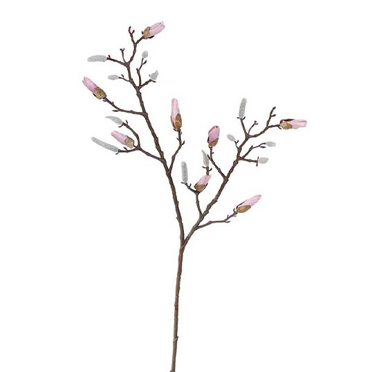 dood Verdorie Horzel Kunst Magnolia Tak Beauty - 86 cm | Tuincentrum De Boet