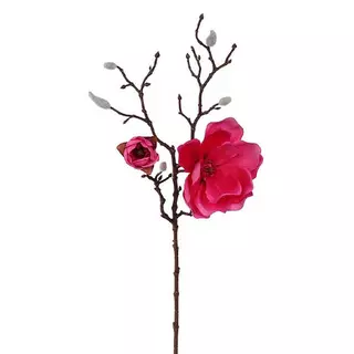 Kunst Magnolia Tak Beauty - 63 cm