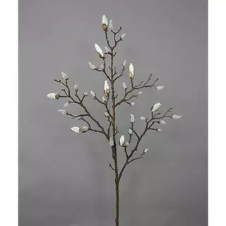 Kunst Magnolia Tak Cream - 103 cm