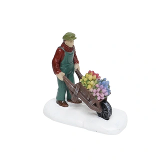 Santaville Man met Tulpen in Kruiwagen