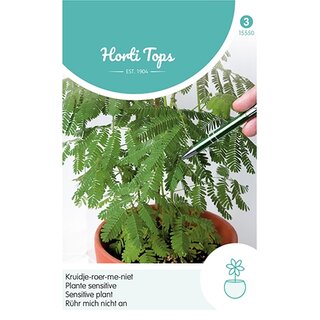 Horti Tops Mimosa Pudica, Kruidje-Roer-Me-Niet