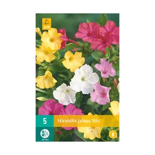 JUB Mirabilis Jalapa Mix ll - 5 st.