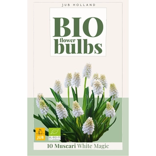 Muscari White Magic Biologisch 10 st.