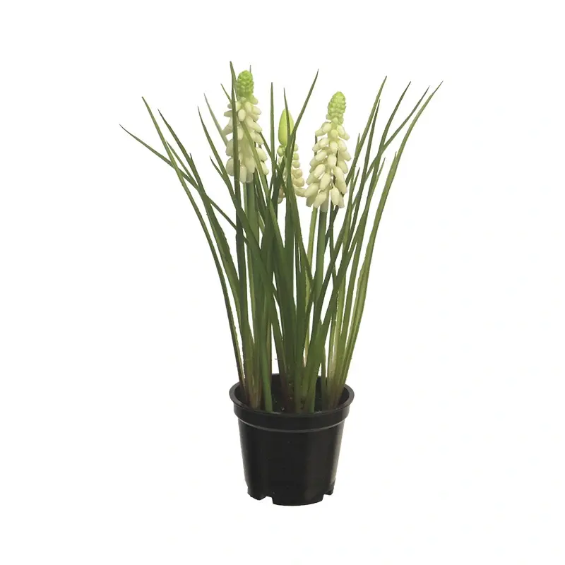 Kunstplant Muscari x3 w/black pot cream 23cm