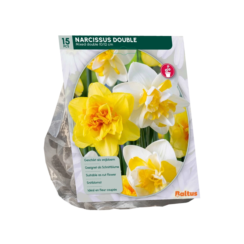 Narcis Dubbel Mix 15 st.