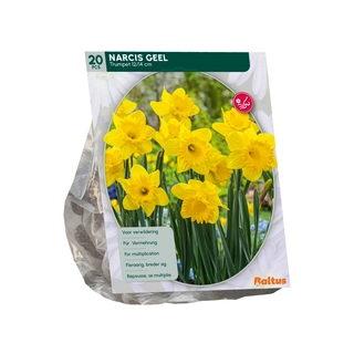 Narcis Trompet Geel 15 st.