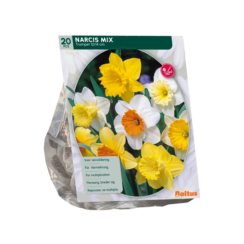 Narcis Trompet Mix 15 st.