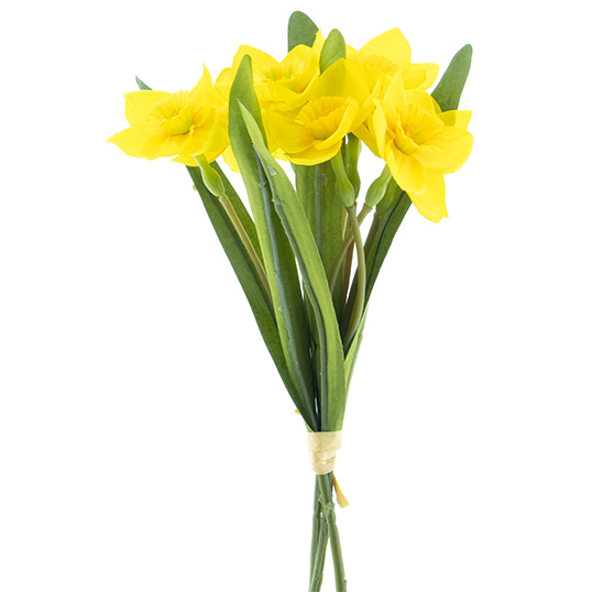 Narcissus bundle X3 yellow 30 cm