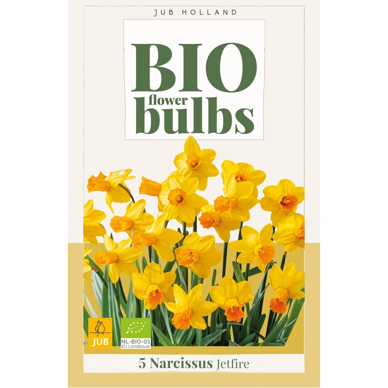 Narcissus Jetfire Biologisch 5 st.
