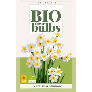 Narcissus Minnow Biologisch 5 st.