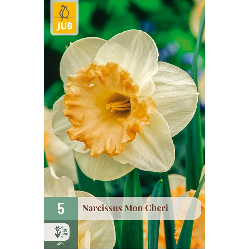 Narcissus Mon Cheri 5 st.