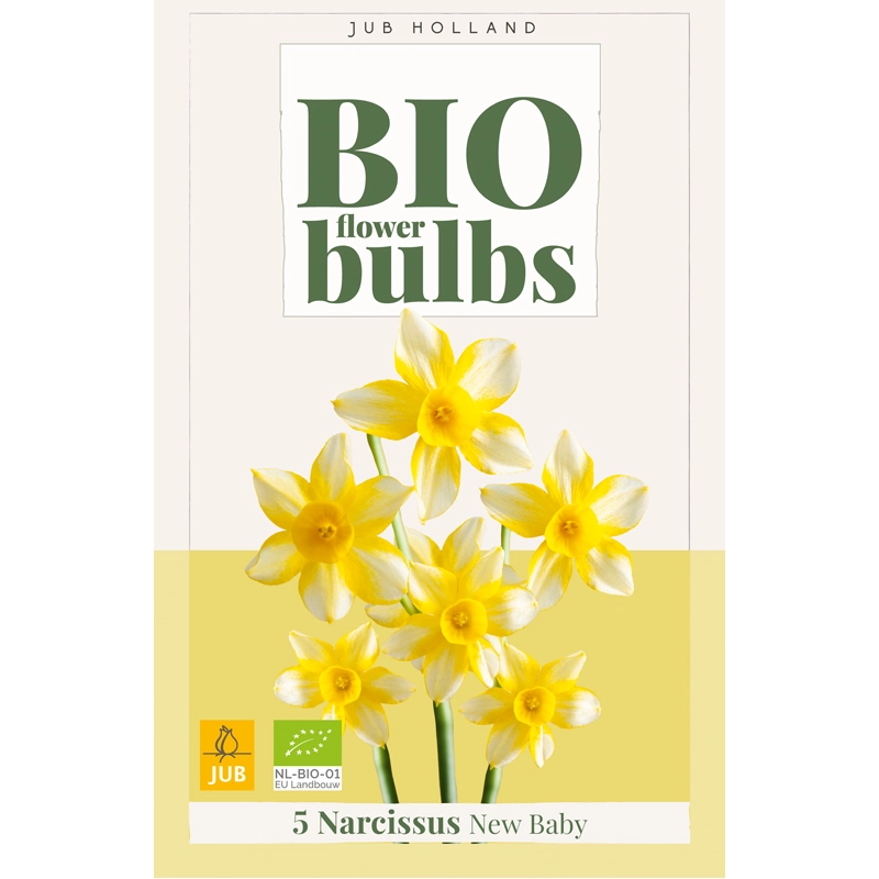 Narcissus New Baby Biologisch 5 st.
