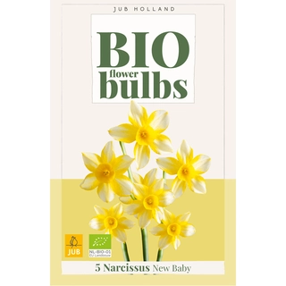 Narcissus New Baby Biologisch 5 st.