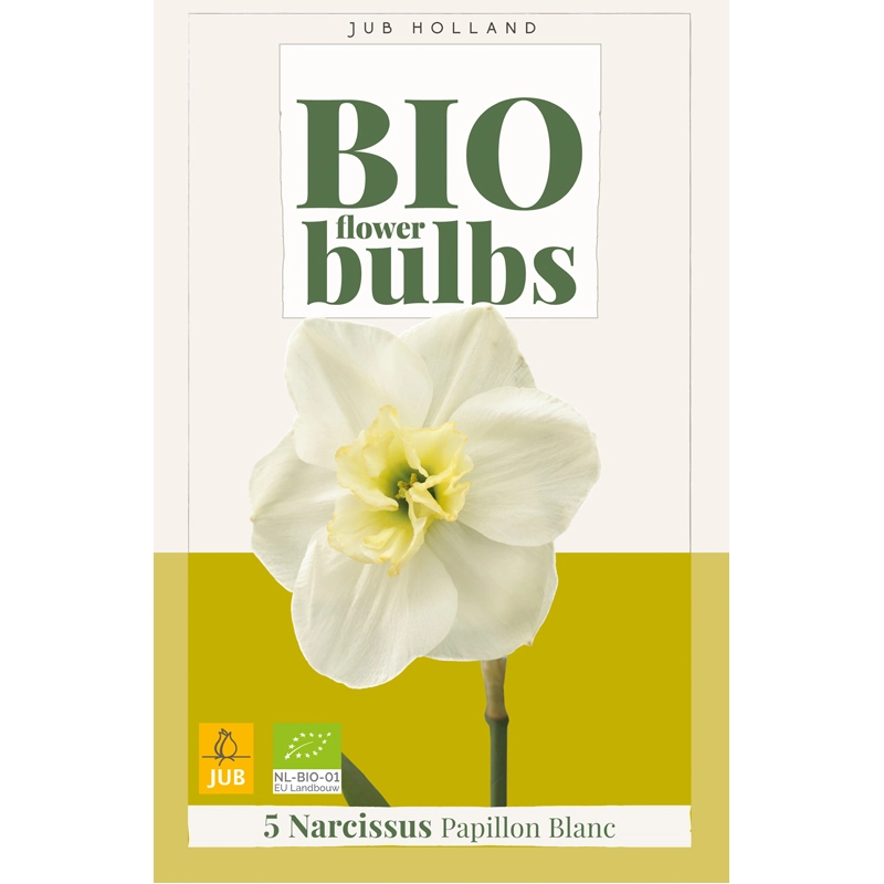 Narcissus Papillon Blanc Biologisch 5 st.