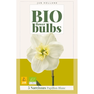 Narcissus Papillon Blanc Biologisch 5 st.