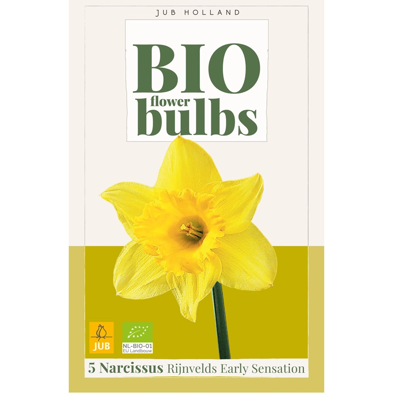 Narcissus Rijnvelds Early Sensation Bio 5 st.