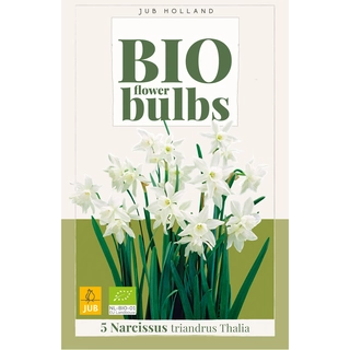 Narcissus Triandrus Thalia Biologisch 5 st.