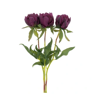 Kunstbloem Paeony Marlie Bundle Aubergine - 48 cm| De Boet