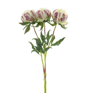 Kunstbloem Paeony Marlie Bundle Crème - 63 cm| De Boet