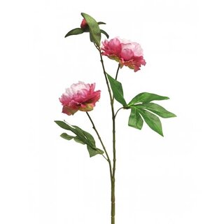 Kunst Pioenroos Princess 67 cm - Beauty