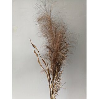 Kunst Pampas gras bosje met blad 75cm -bruin