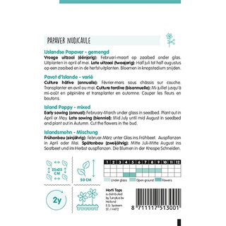 Horti Tops Papaver, IJslandse Papaver gemengd - afbeelding 2