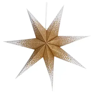 Papier Ster 60 cm - Wit Goud Glitter